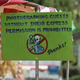 Image for article titled Celebrities Love L.A. Pumpkin Patch, Paparazzi Be Damned